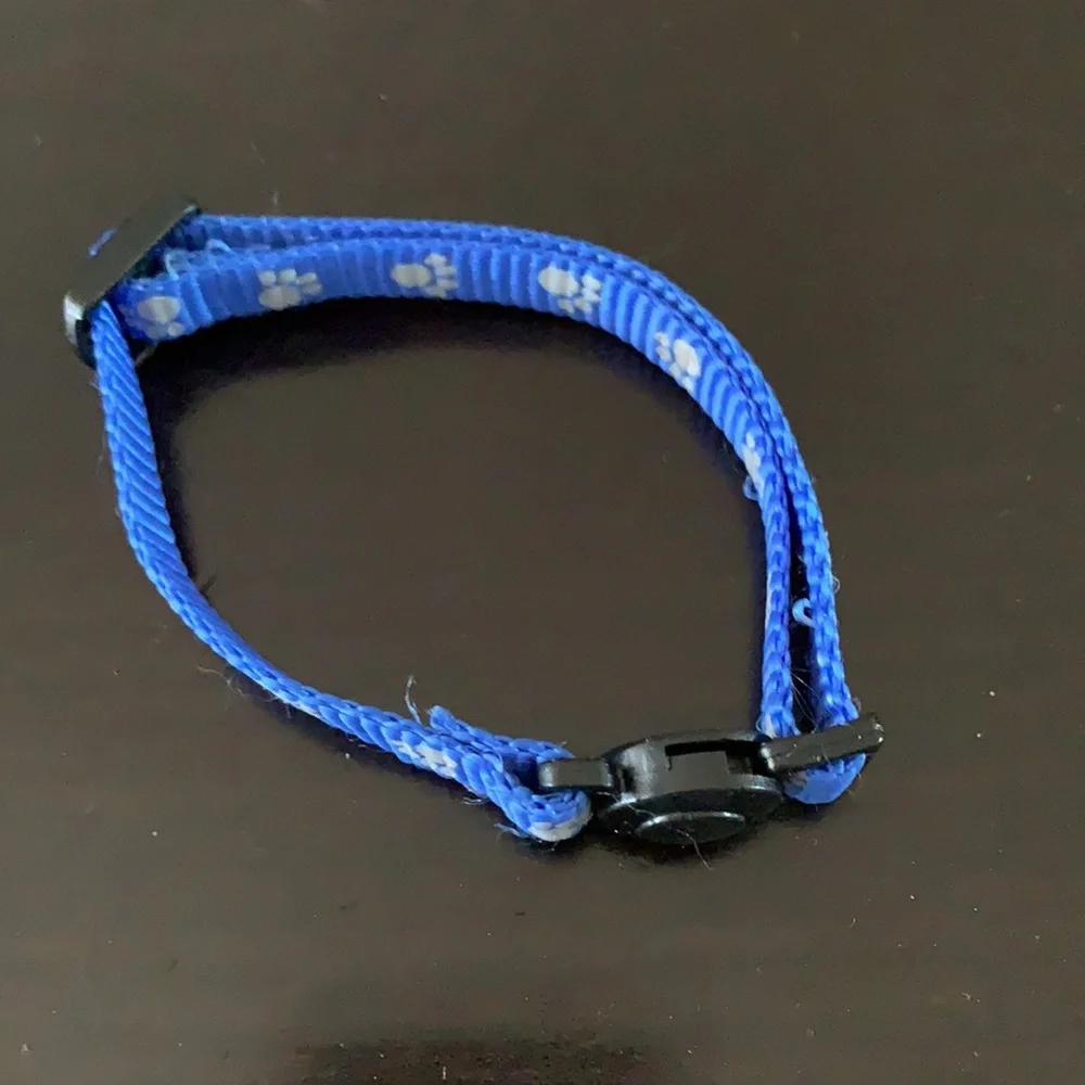 Kitten Collar